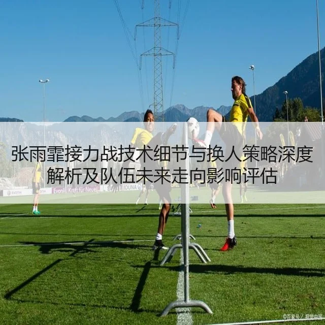 张雨霏接力战技术细节与换人策略深度解析及队伍未来走向影响评估
